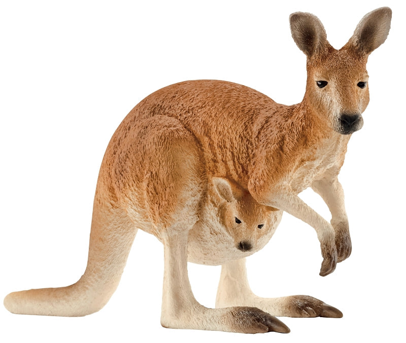 Schleich-S 14756 Figurine, 3 to 8 years, Kangaroo, Plastic