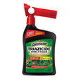 Spectracide Triazicide For Lawns Insect Killer Liquid Concentrate 32 oz, Pack of 6