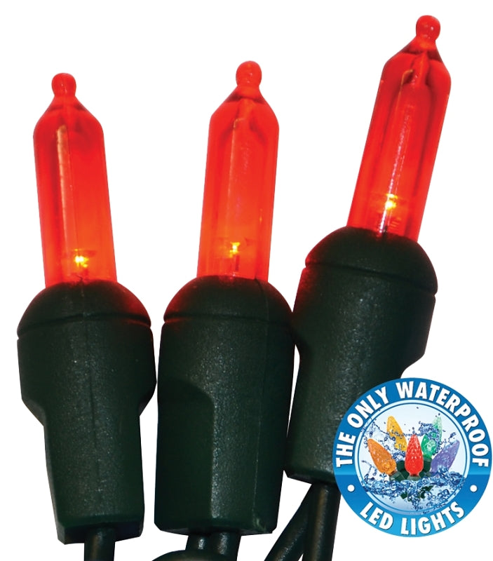 Holiday Bright Lights LEDBX-T550-RD6 Light Set, 50-Lamp, LED Lamp, Red Lamp, 50,000 hr Average Life, 26 ft L