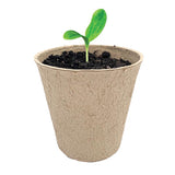 Ferry-Morse 7 Cells 5 in. H X 4 in. W X 4 in. L Seed Starting Peat Pot 7 pk