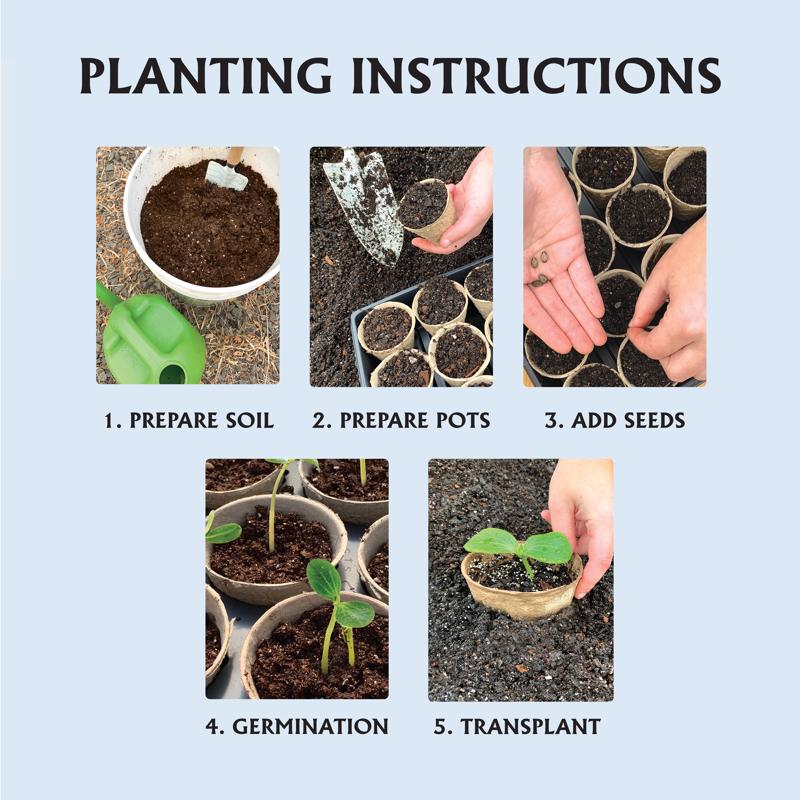 Ferry-Morse 7 Cells 5 in. H X 4 in. W X 4 in. L Seed Starting Peat Pot 7 pk