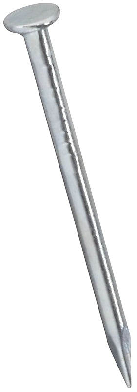 National Hardware N278-291 Wire Nail, 3/4 in L, Steel, Galvanized, 1 PK