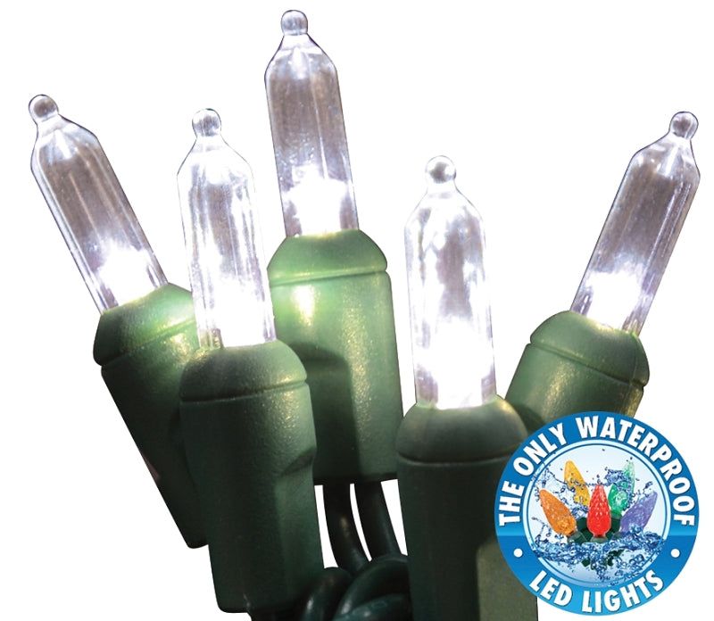 Holiday Bright Lights LEDBX-T550-PW6 Light Set, 50-Lamp, LED Lamp, Pure White Lamp, 50,000 hr Average Life