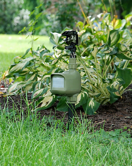 Havahart 5277 Animal Repellent and Sprinkler, Motion-Activated, 5.69 in L