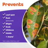 Bonide Fung-Onil Liquid Fungicide 32 oz