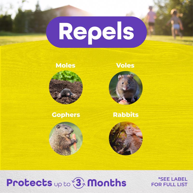 Bonide MoleMax Animal Repellent Granules For Moles and Voles 5 lb