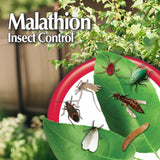 Bonide Malathion 992 Insect Control, Liquid, Spray Application, 1 pt Bottle