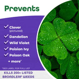 Bonide Weed Beater Weed Killer Concentrate 1 pt