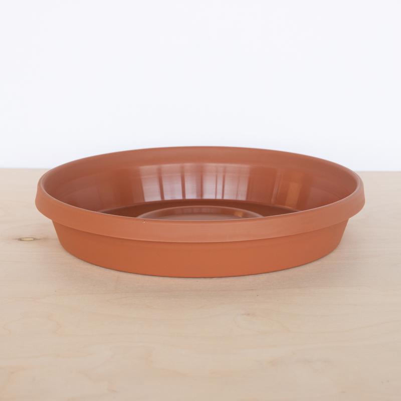 Bloem Terra 2 in. H X 11.25 in. W X 11.25 in. D X 12 in. D Resin Traditional Plant Saucer Terra Cott