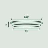 Bloem Terra 2 in. H X 11.25 in. W X 11.25 in. D X 12 in. D Resin Traditional Plant Saucer Terra Cott