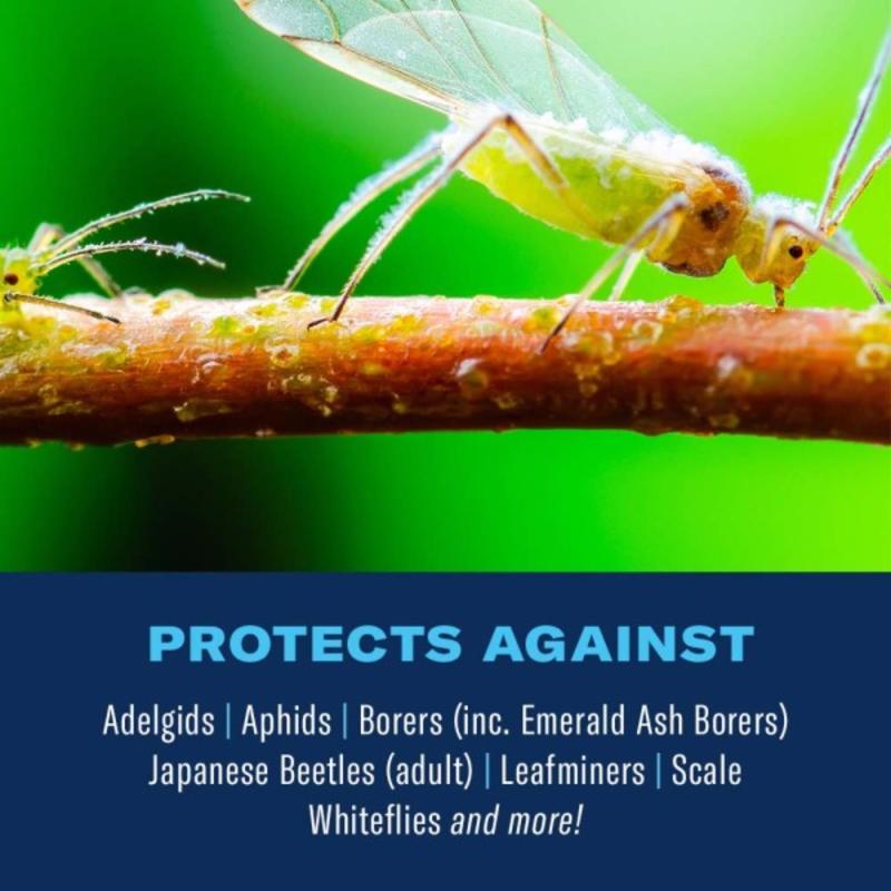 BioAdvanced 12 Month Tree and Shrub Protect & Feed Concentrate 1 gal