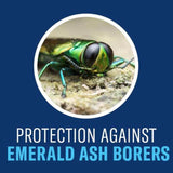 BioAdvanced 12 Month Tree and Shrub Protect & Feed Concentrate 1 gal