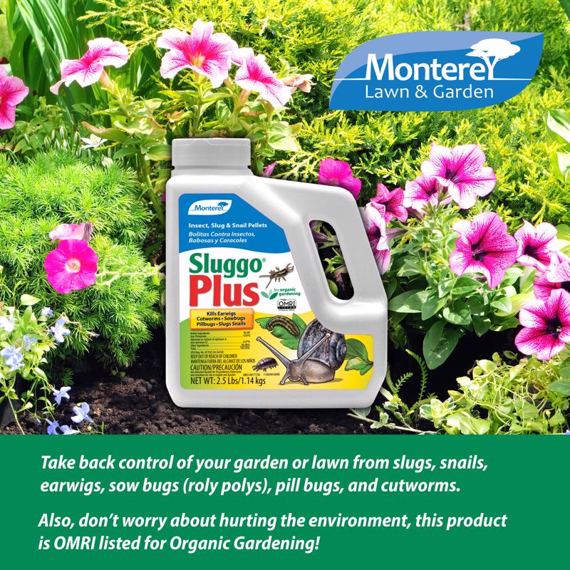 Monterey Sluggo Insect Killer 2.5 lb