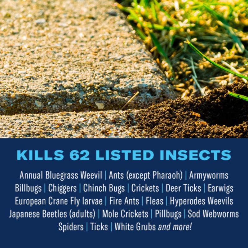 BioAdvanced Complete Insect Killer for Soil & Turf Concentrate 40 oz