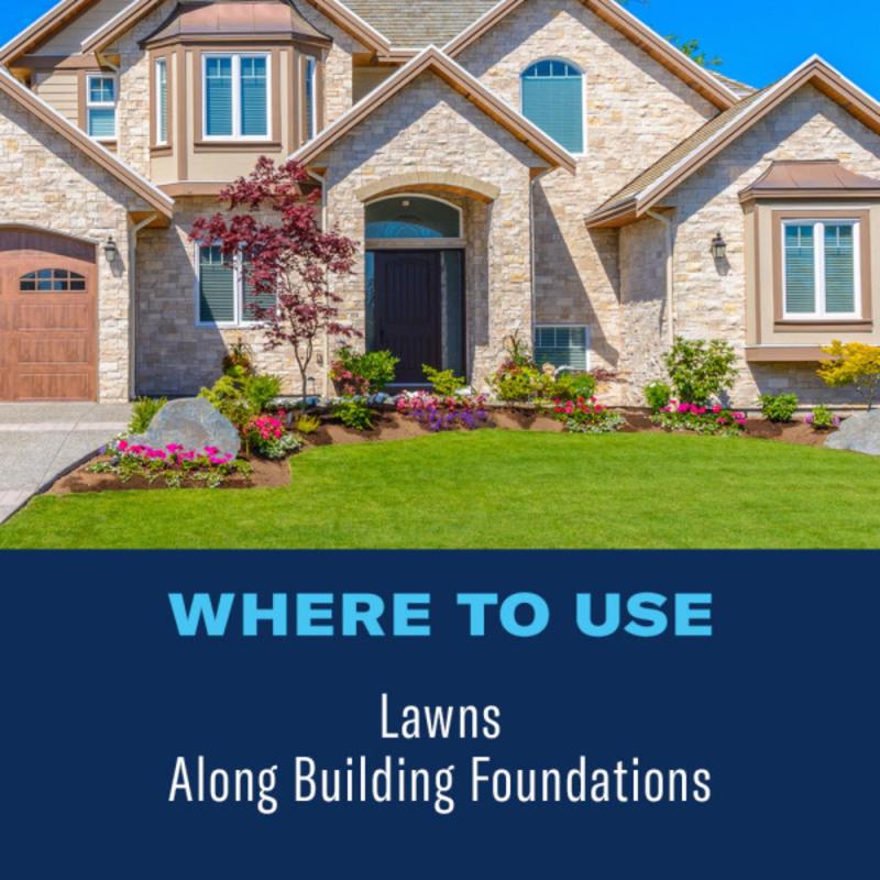 BioAdvanced Complete Insect Killer for Soil & Turf Concentrate 40 oz