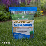 Jonathan Green Black Beauty Sun and Shade Mixed Partial Shade/Sun Grass Seed 7 lb