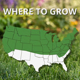 Jonathan Green Black Beauty Shady Nooks Mixed Full Shade Grass Seed 3 lb