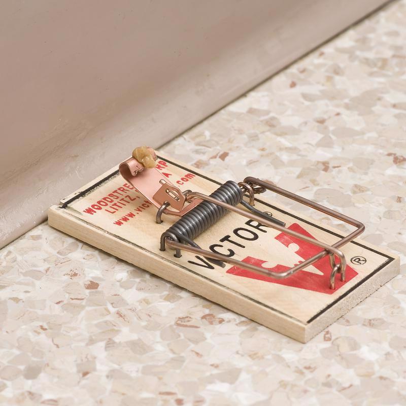 Victor Small Snap Trap For Mice 1 pk, Pack of 72