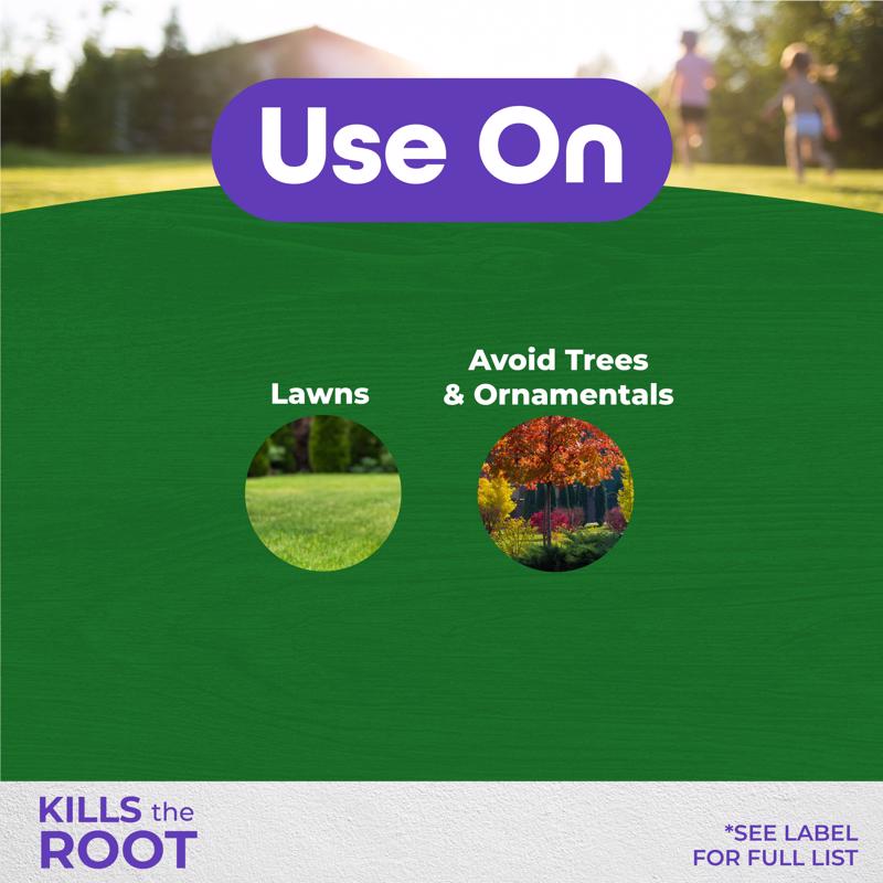 Bonide Sedge Ender Nutsedge Killer Concentrate 16 oz