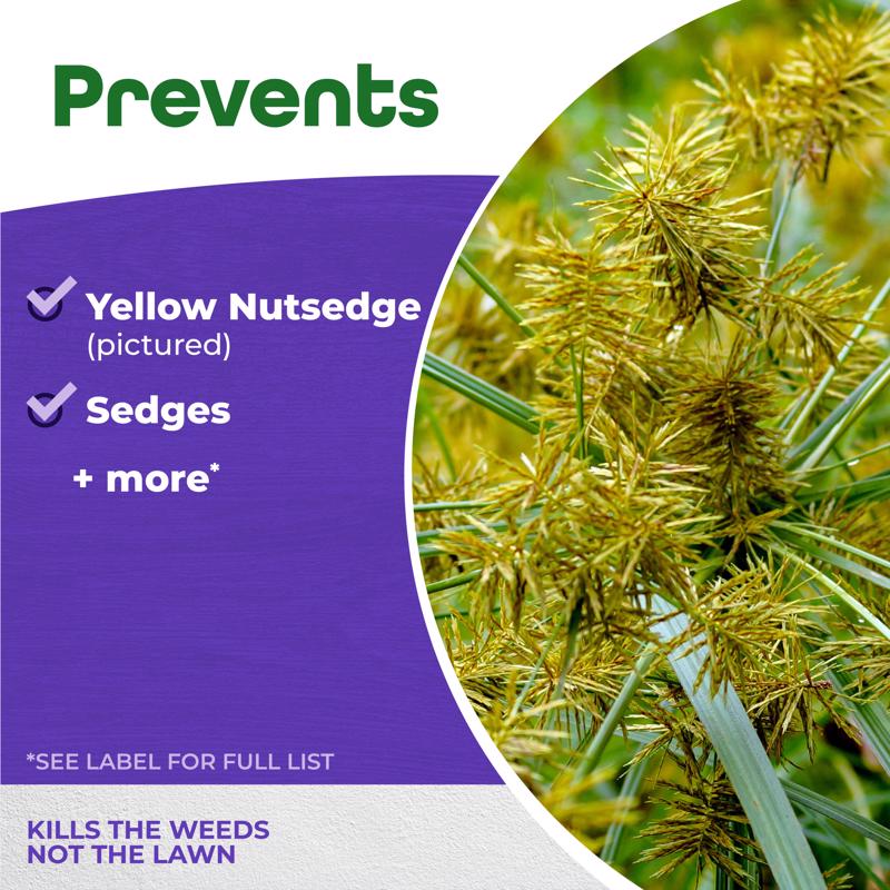 Bonide Sedge Ender Nutsedge Killer Concentrate 16 oz