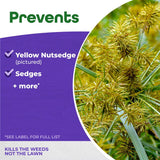 Bonide Sedge Ender Nutsedge Killer Concentrate 16 oz