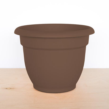 Bloem Ariana 5.25 in. H X 6.5 in. W Resin Traditional Planter Chocolate