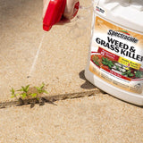 Spectracide Weed and Grass Killer RTU Liquid 1 gal, Pack of 4