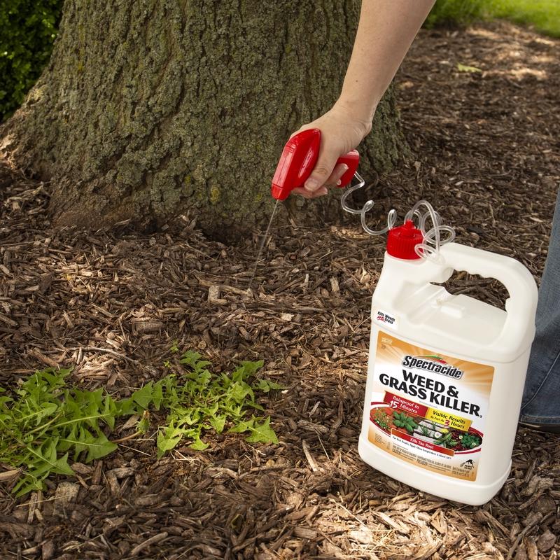 Spectracide Weed and Grass Killer RTU Liquid 1 gal, Pack of 4