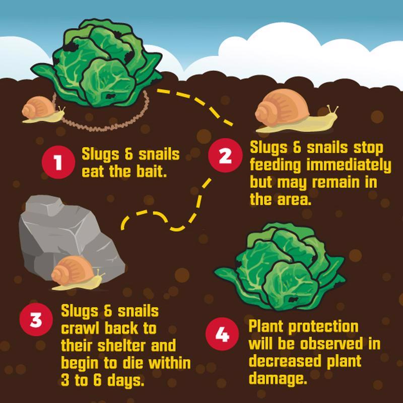 Corry's Slug and Snail Killer 6 lb, Pack of 3