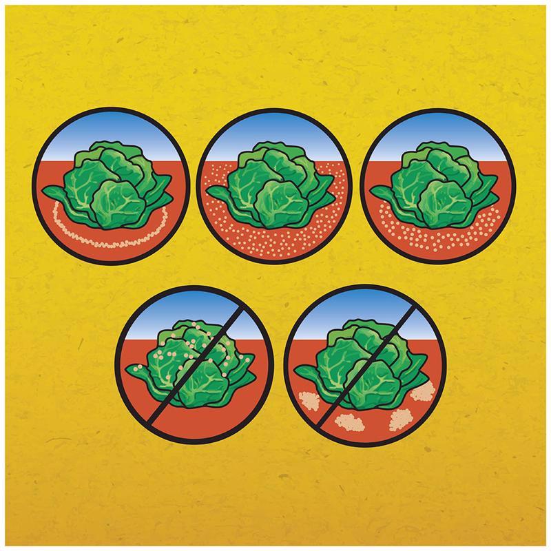 Corry's Slug and Snail Killer 6 lb, Pack of 3