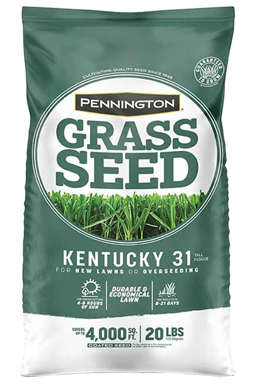 Pennington 100543701 Kentucky Fescue Grass Seed, 20 lb Bag