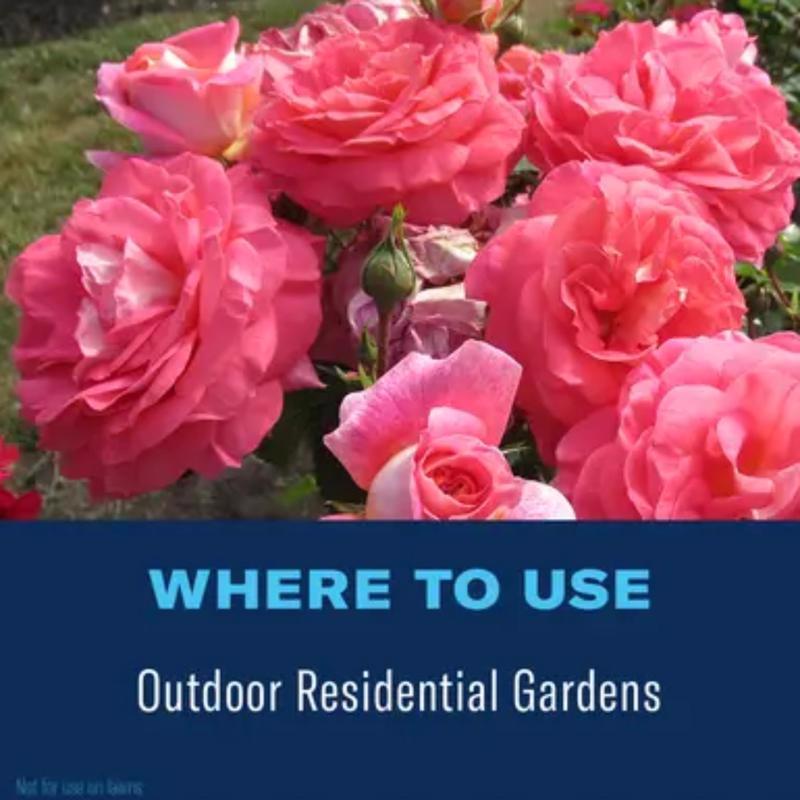 BioAdvanced Dual Action Rose and Flower Insect Killer Continuous Spray 15.7 oz