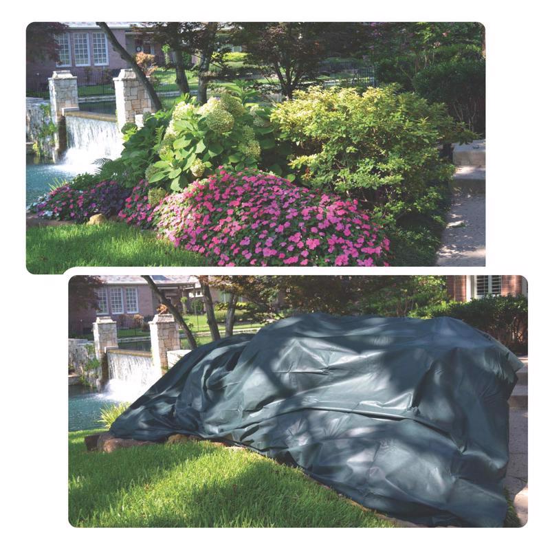 Planket 20 ft. L X 10 ft. W 1 pk Garden Cover, Pack of 6