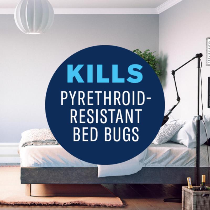 BayerAdvanced 701320A Bed Bug and Flea Killer, Liquid, Spray Application, 15 oz