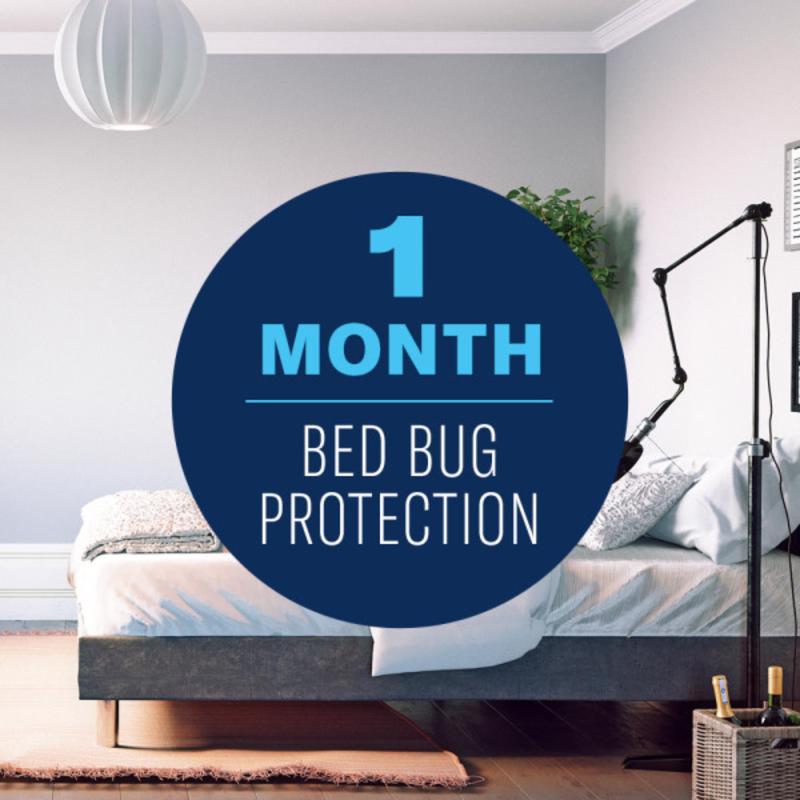 BayerAdvanced 701310A Insect Killer, Liquid, Spray Application, 15 oz