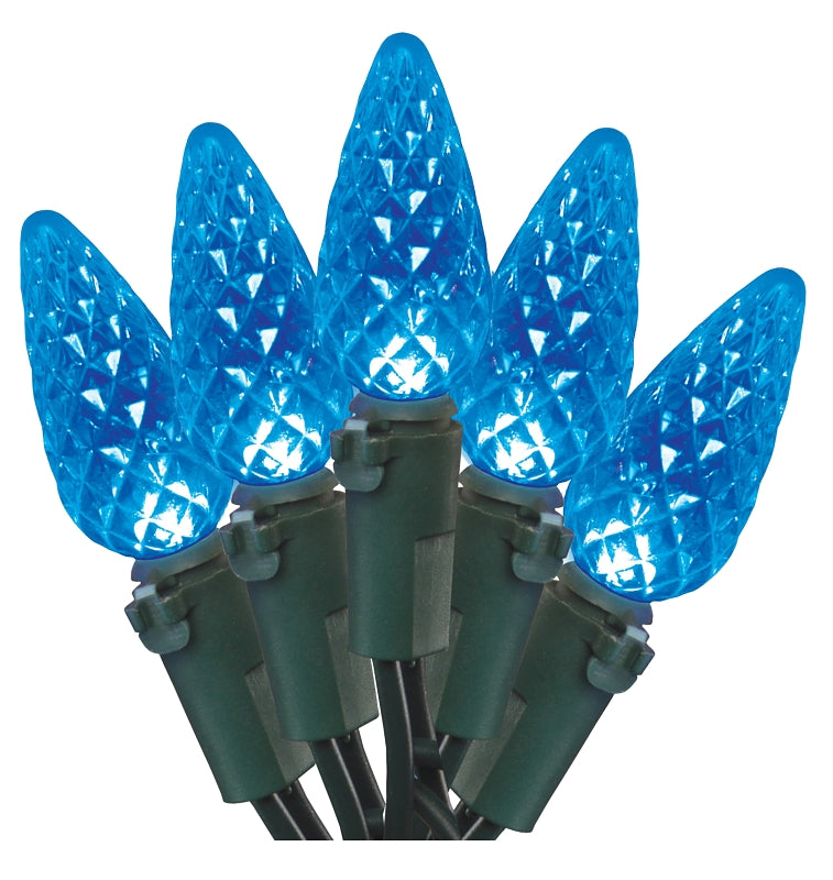 Hometown Holidays W11N0465 Outdoor Christmas Lights, LED, 70 Lamps, C6, Blue, 4 x 4 x 4 in