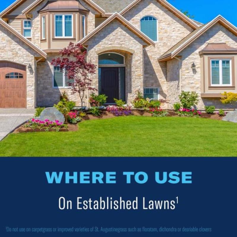 BioAdvanced Season Long Weed Control RTU Liquid 29 oz