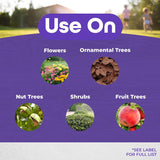 Bonide Fruit Tree & Plant Guard Insect Killer Liquid 16 oz