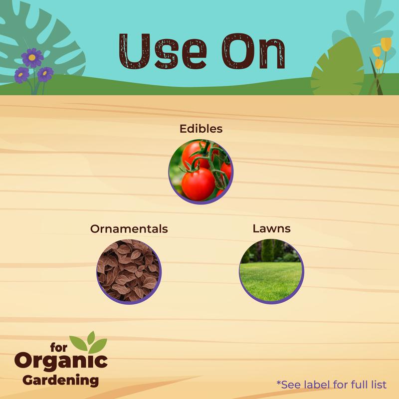 Bonide Captain Jacks Deadbug Brew Organic Insect Killer Liquid Concentrate 16 oz