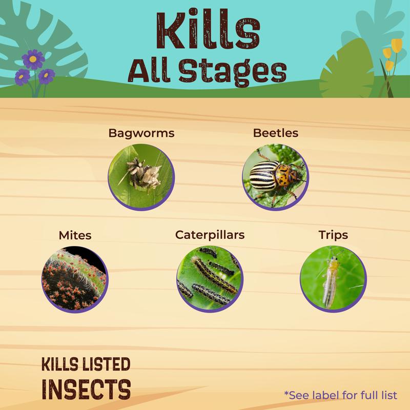 Bonide Captain Jacks Deadbug Brew Organic Insect Killer Liquid Concentrate 16 oz