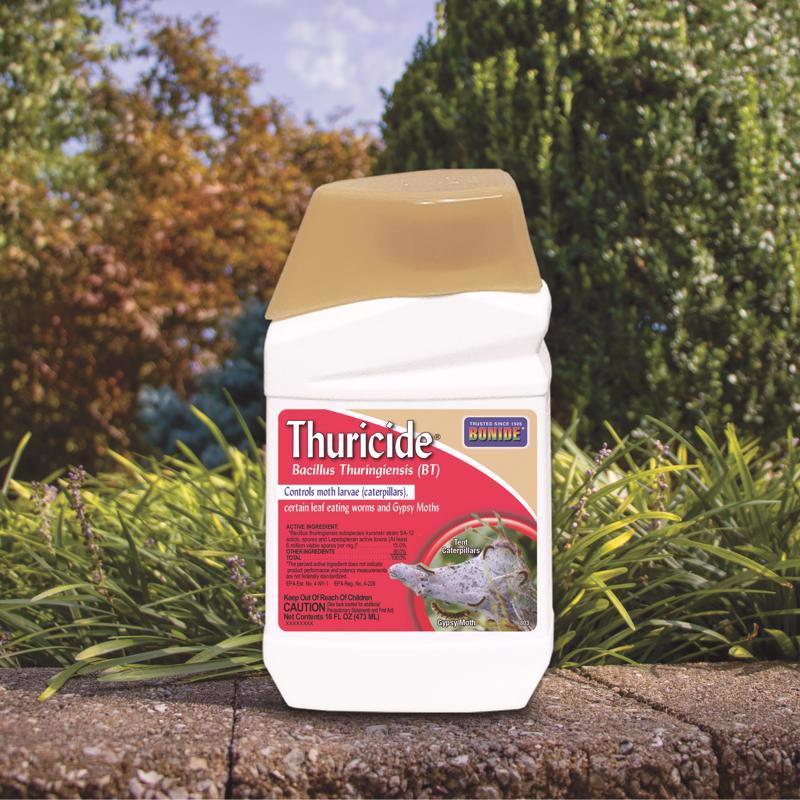 Bonide Thuricide (BT 803 Thuricide Bacillus Thuringiensis, Liquid, 1 pt Bottle
