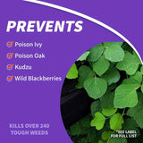 Bonide Brush Beater Brush Killer Concentrate 16 oz