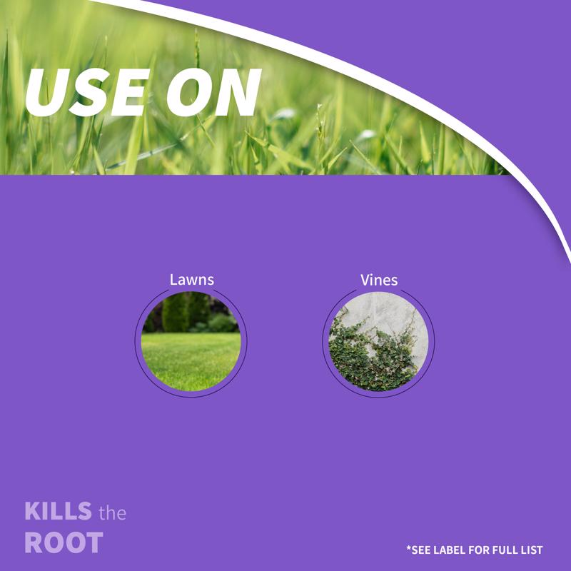 Bonide Poison Ivy Killer RTU Liquid 32 oz