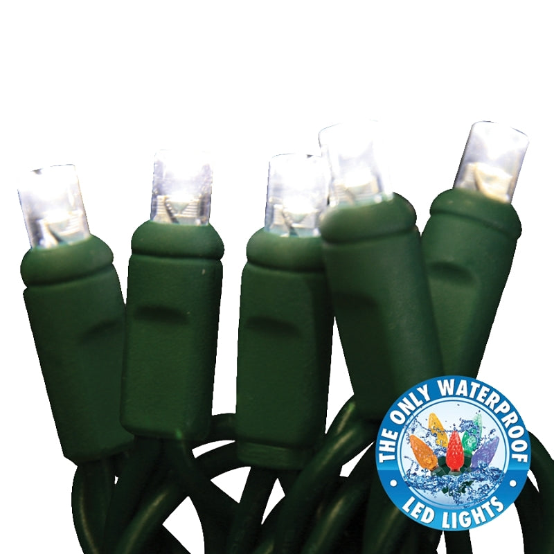 Holiday Bright Lights LEDBX-WA50-PW6 Light Set, 50-Lamp, LED Lamp, Pure White Lamp, 50,000 hr Average Life