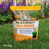Jonathan Green Black Beauty Fall Magic All Grasses Sun or Shade Grass Seed 7 lb