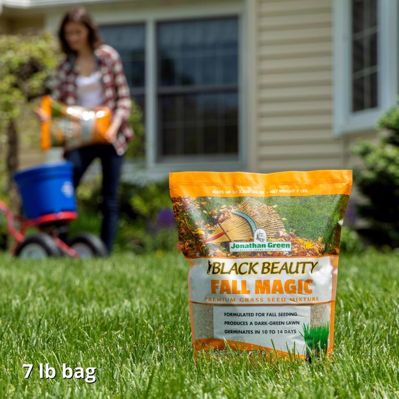 Jonathan Green Black Beauty Fall Magic All Grasses Sun or Shade Grass Seed 7 lb