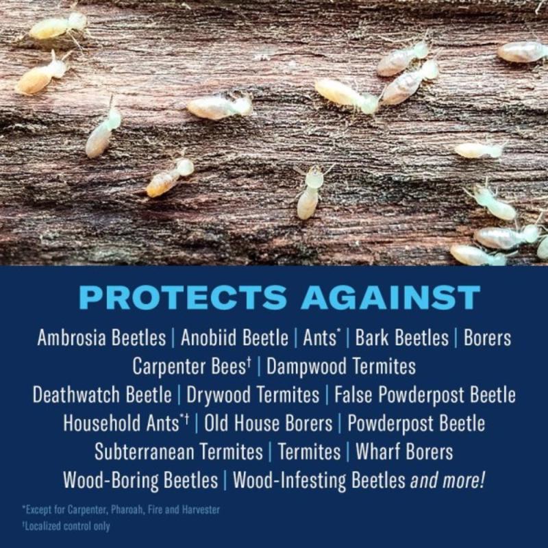 BioAdvanced Termite Killer Foam 18 oz