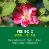 NATRIA Ready-to-Use Insect Disease & Mite Control Spray 24 oz