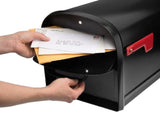 Architectural Mailboxes 6300B-10 Oasis Large Mailbox, Steel, Galvanized, 11.3 in W, 20 in D, 11-1/2 in H, Black