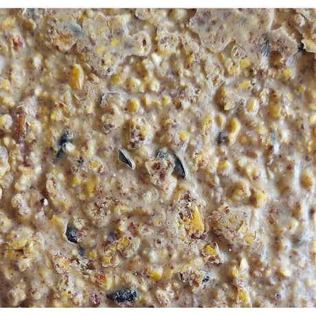Heath DDC1-12 Sunflower Seed Wild Bird Seed, 11.75 oz, Crafted Suet, Cake, Pack